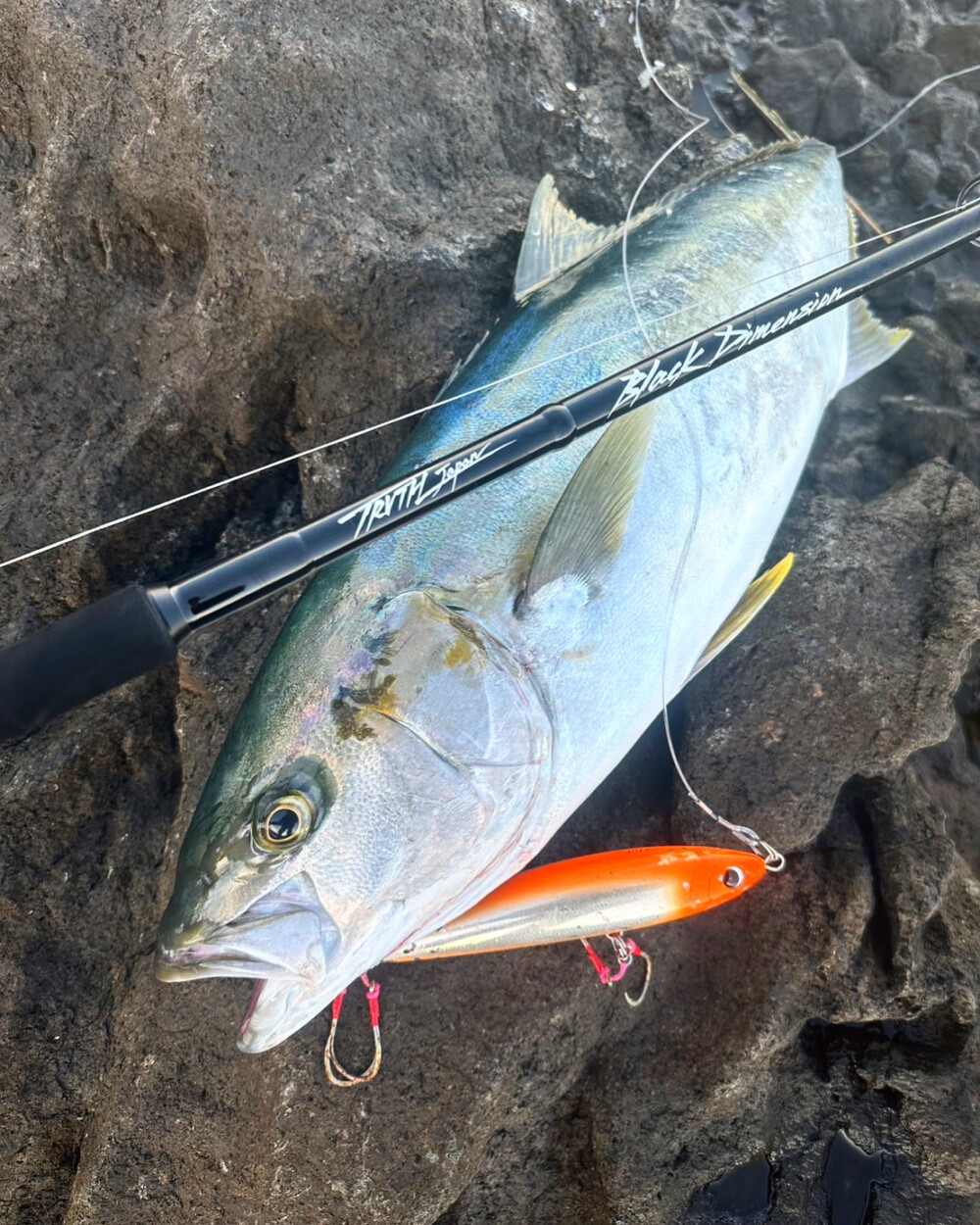 北部九州 ロックショアヒラマサキャスティング (BlackDimension106MR