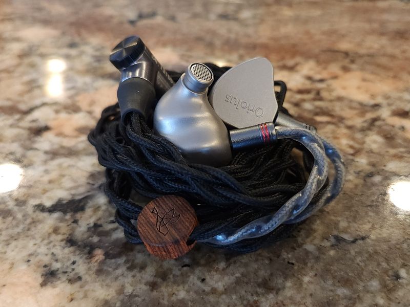 oriolus-traillii-ti-01.jpg?w=640