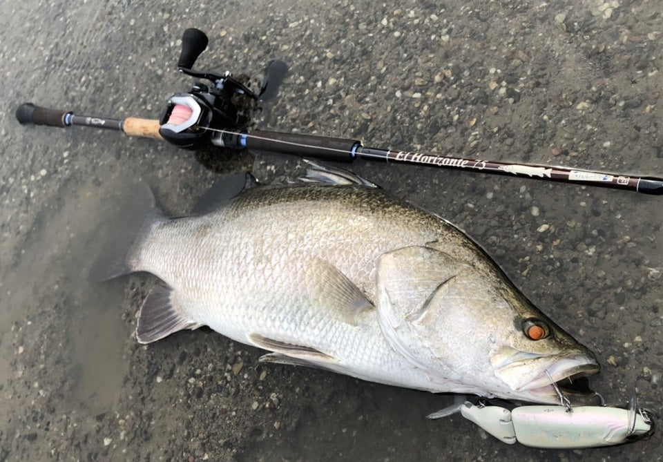 El Horizonte 75 – TULALA online store