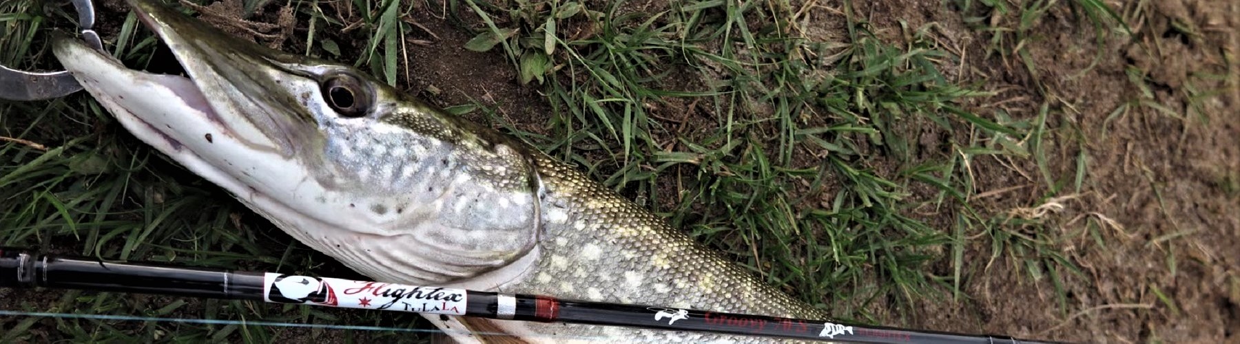 TULALA | Ford every stream | » Flightex Groovy 70S