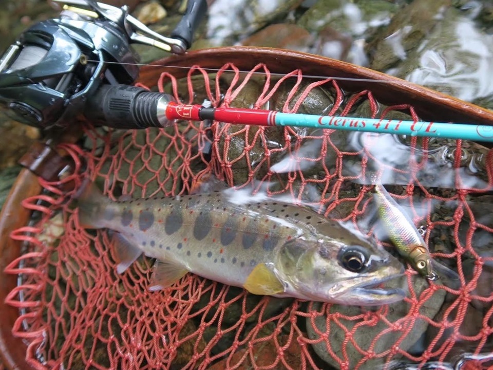 TULALA | Ford every stream | » 【公式】祝渓流解禁！Clerus411の