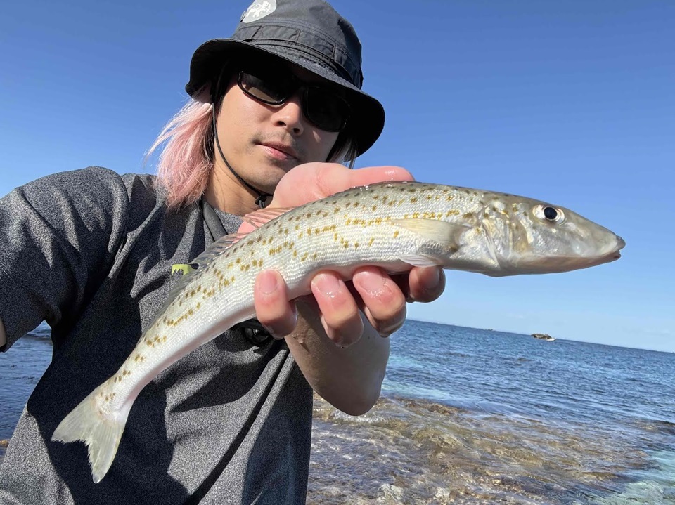 TULALA | Ford every stream | » タグ » ポルタメント200S