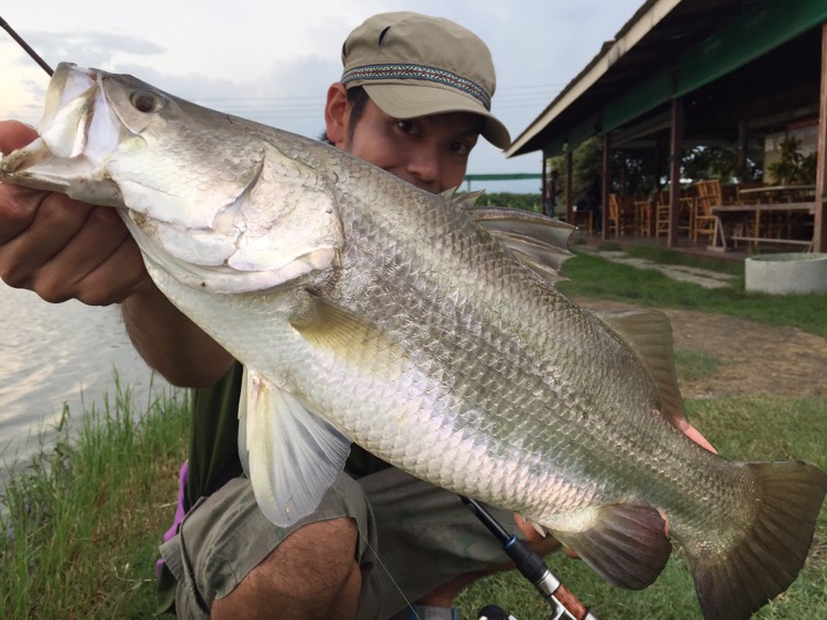 TULALA | Ford every stream | » Portamento 73