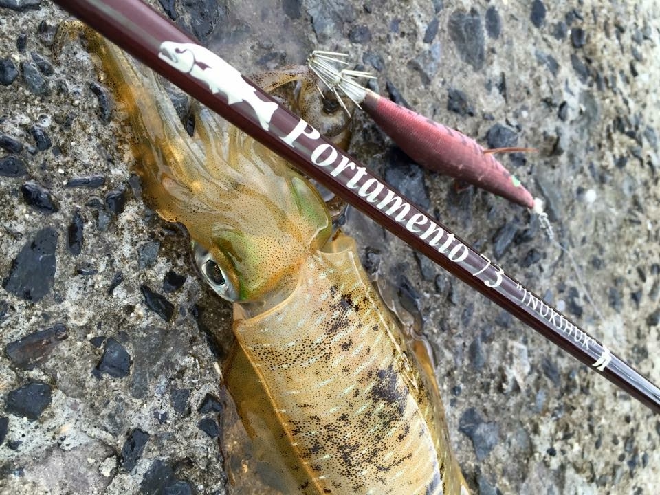 TULALA | Ford every stream | » Portamento 73