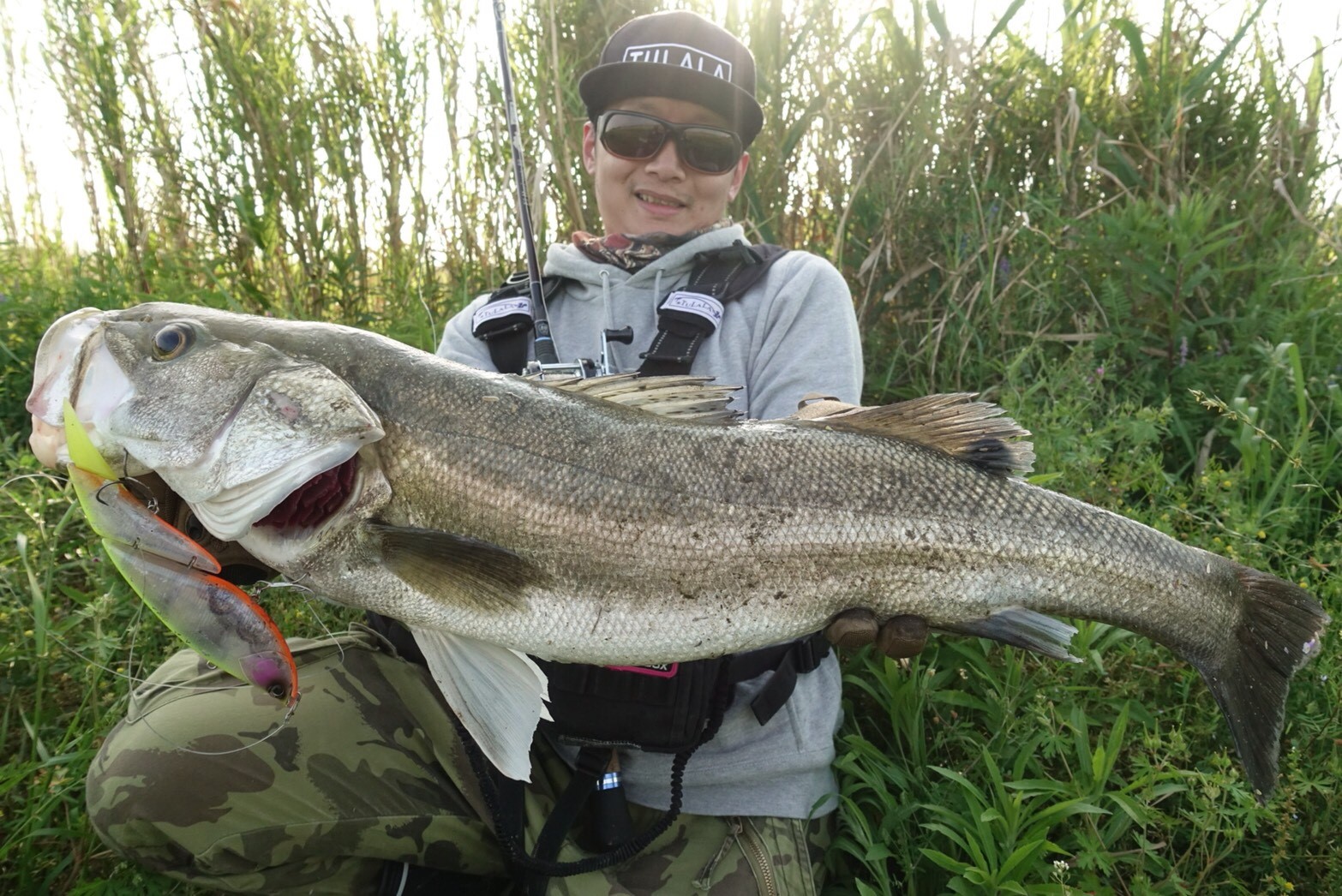 TULALA | Ford every stream | » El Horizonte 80