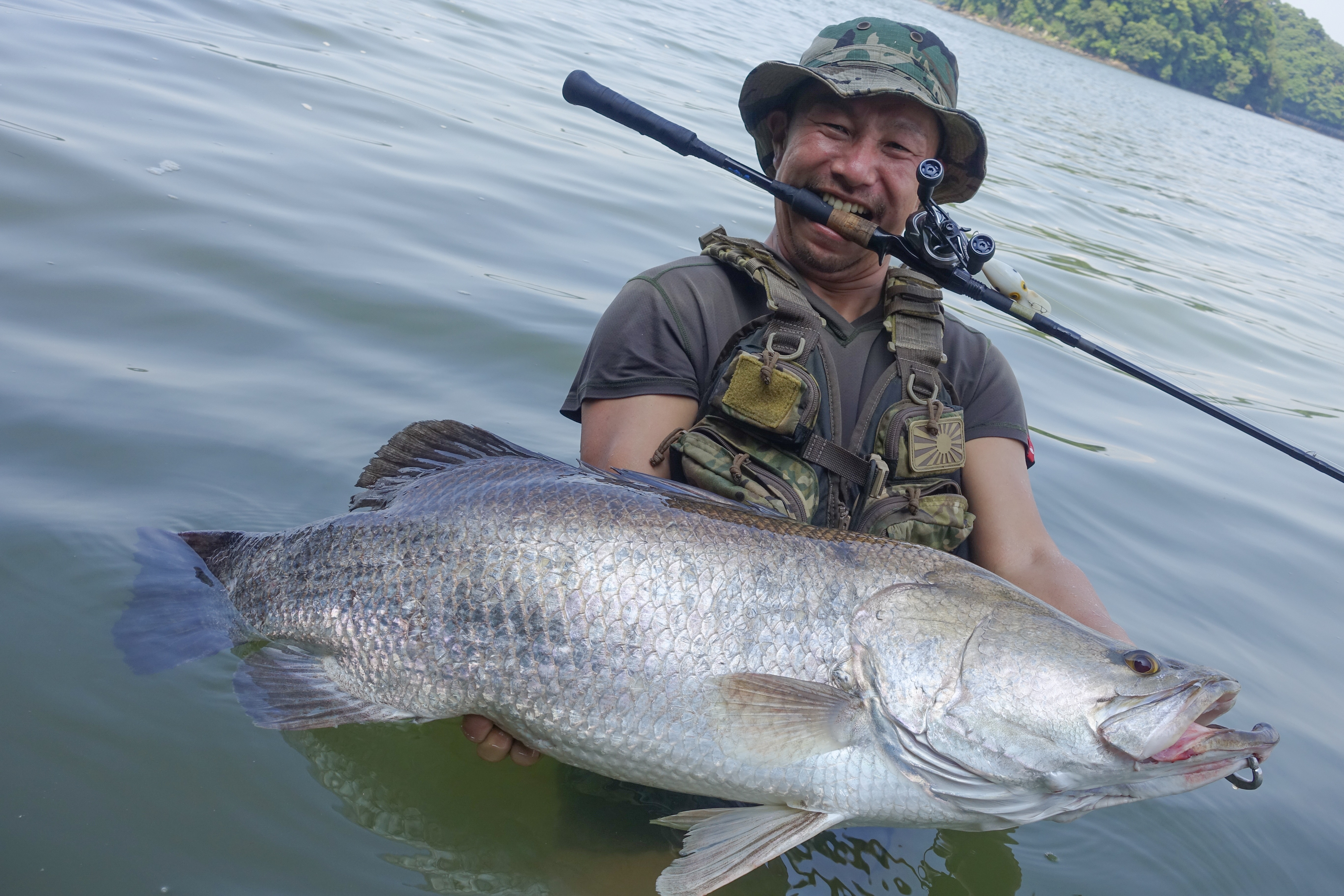 TULALA | Ford every stream | » El Horizonte 80