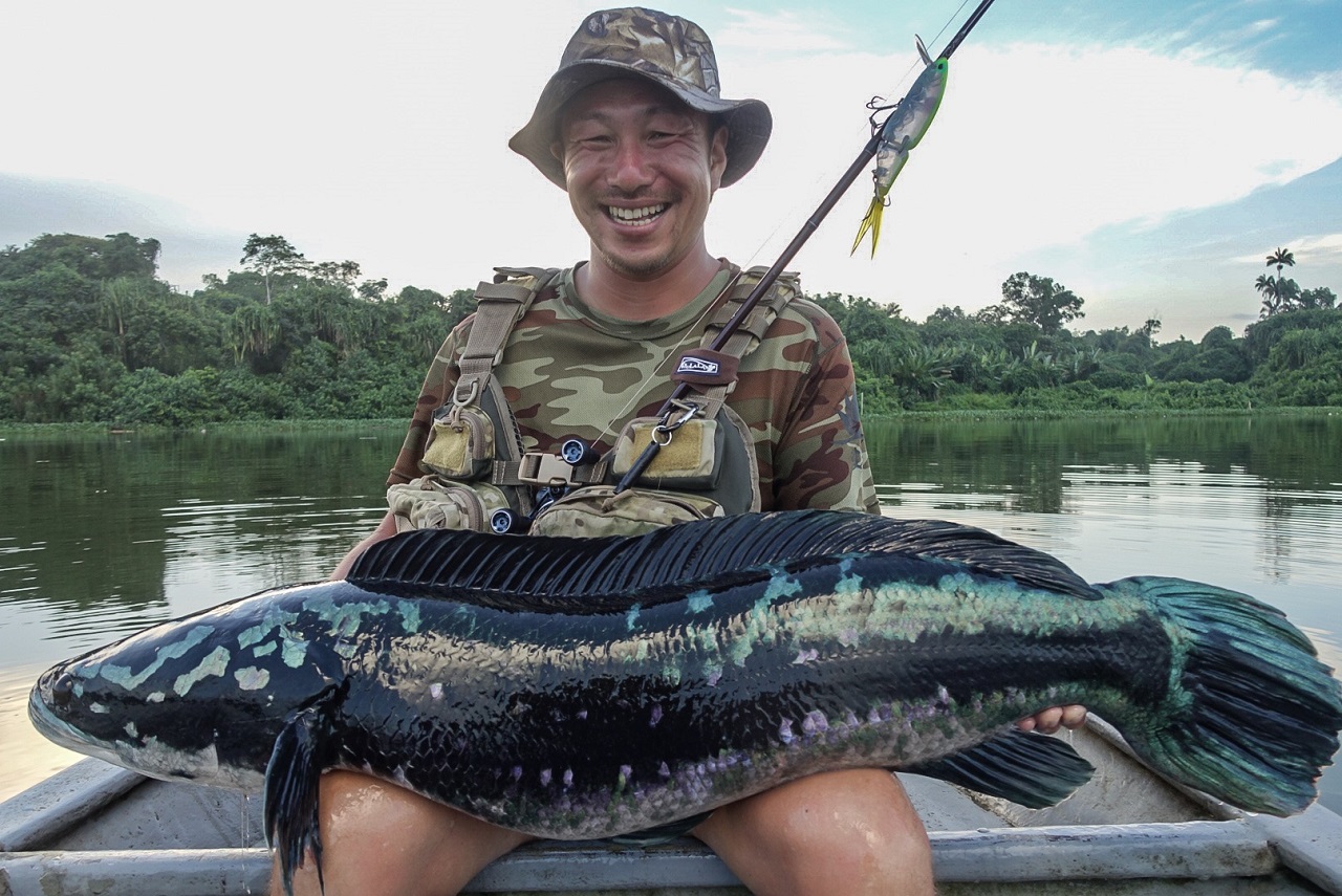 TULALA | Ford every stream | » El Horizonte 70