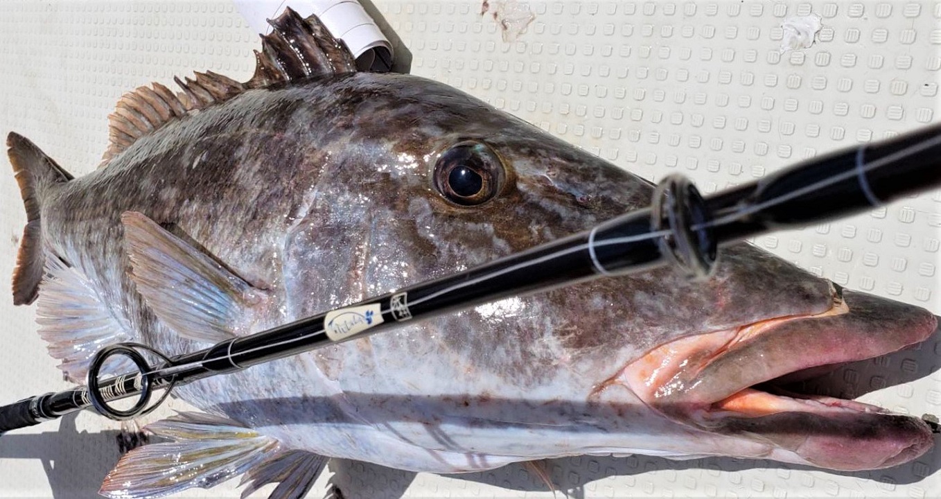 TULALA | Ford every stream | » Baritono 80