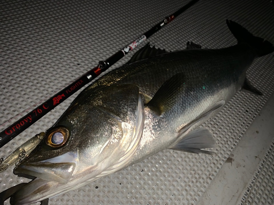 TULALA | Ford every stream | » Flightex Groovy 76C