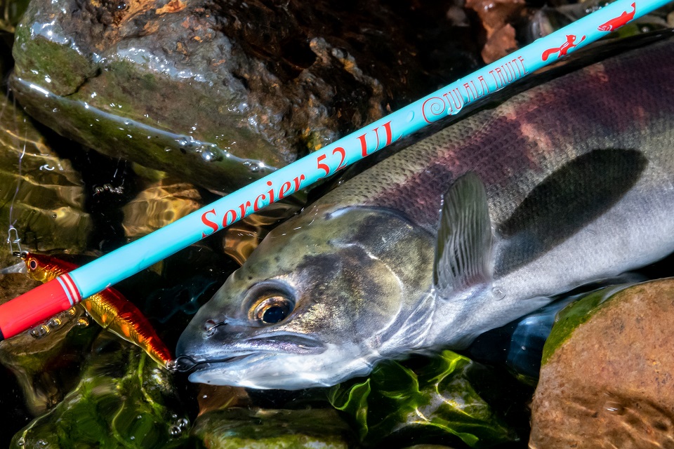 TULALA | Ford every stream | » Sorcier 52 UL