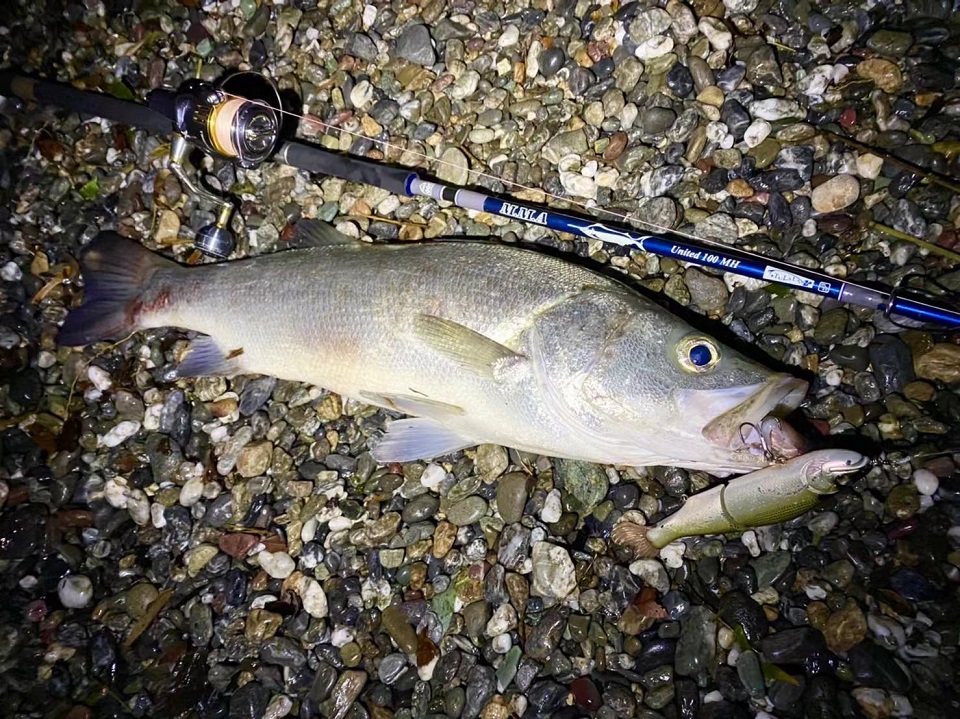 TULALA | Ford every stream | » M.M.A United 100 MH