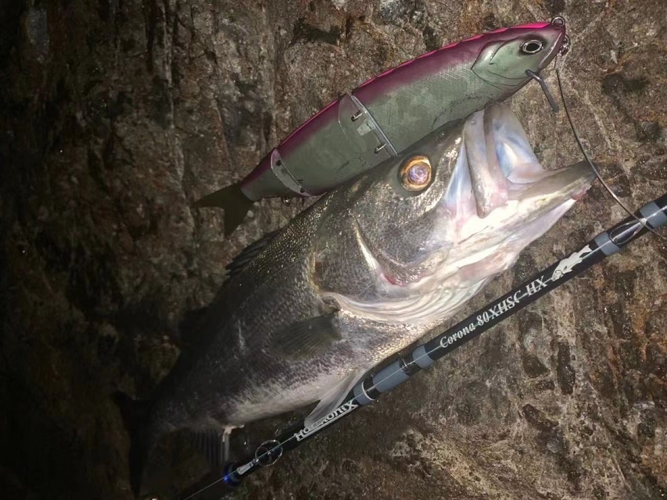 TULALA | Ford every stream | » Corona 80 XHSC-HX