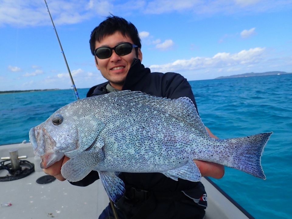 TULALA | Ford every stream | » News_Category » TULALA M.M.A