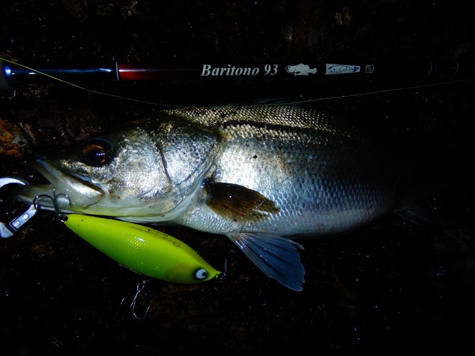 TULALA | Ford every stream | » 【STAFF】バリトーノ93の強さと粘りが