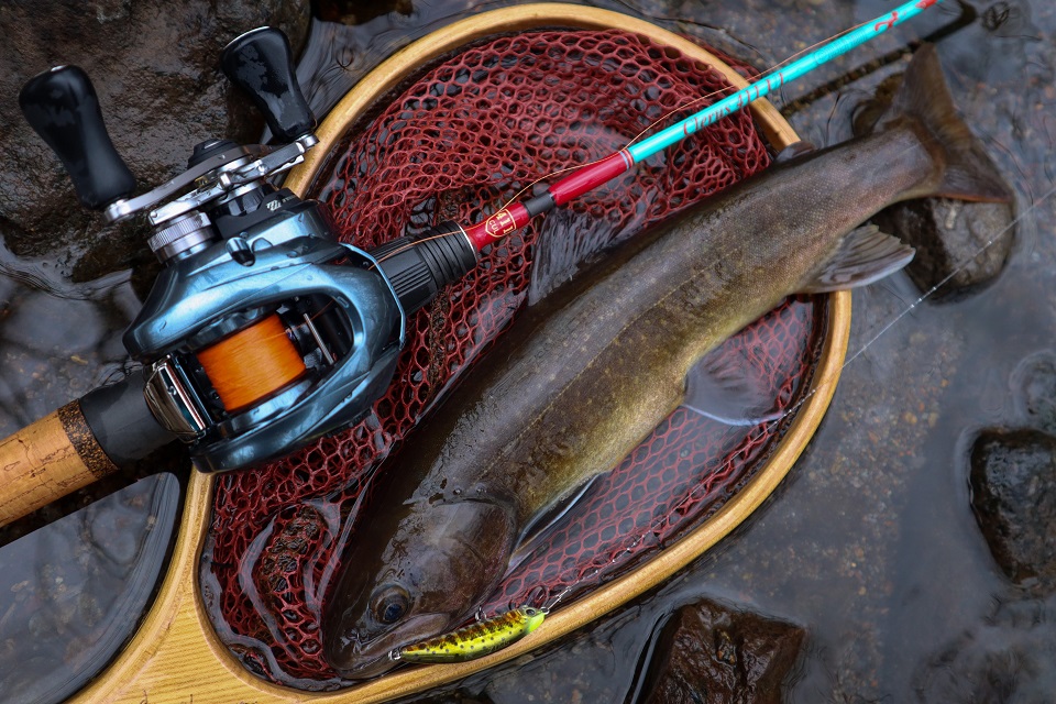 TULALA | Ford every stream | » News_Category » TULALA TRUITE