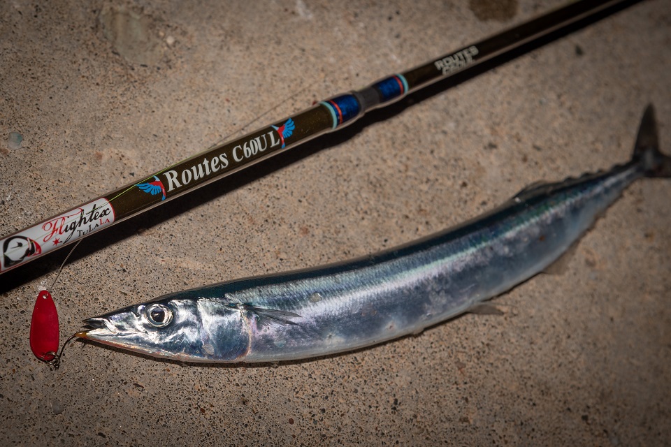 TULALA | Ford every stream | » Routes C60UL