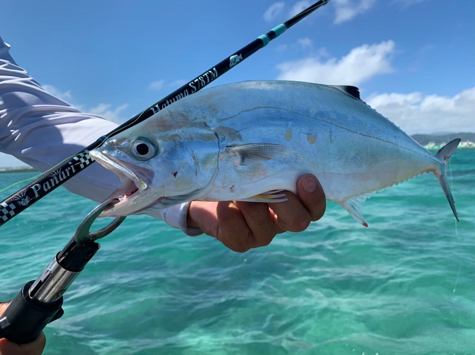 TULALA | Ford every stream | » Hatuma S78TM