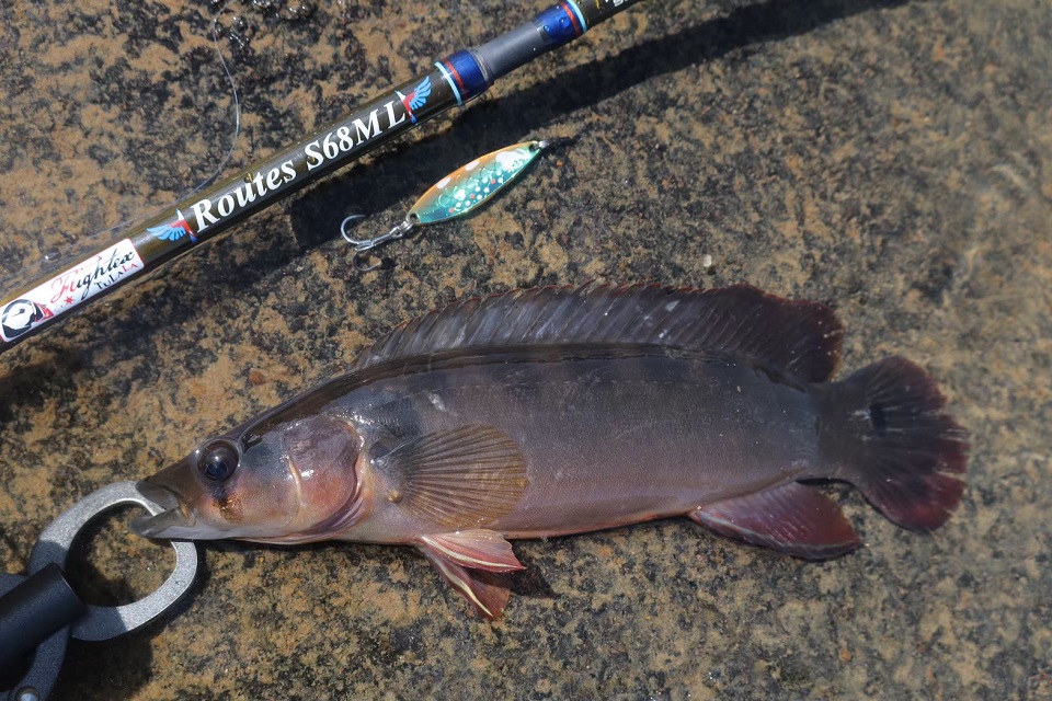 TULALA | Ford every stream | » Routes S68ML