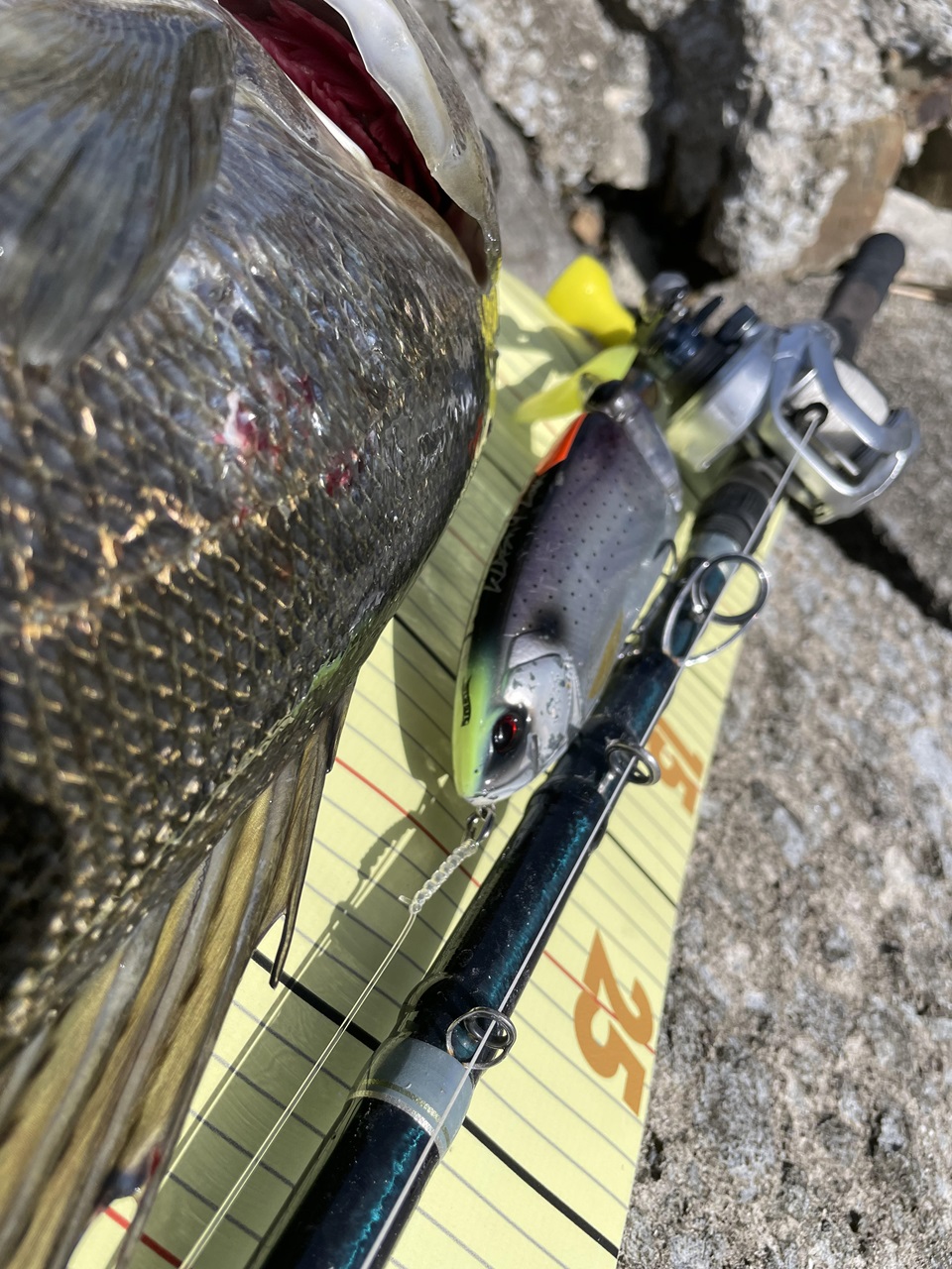 TULALA | Ford every stream | » 【STAFF】天草のビッグベイト使いが