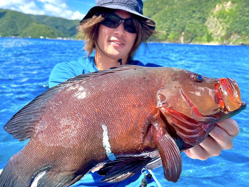 TULALA | Ford every stream | » タグ » ポルタメント200S