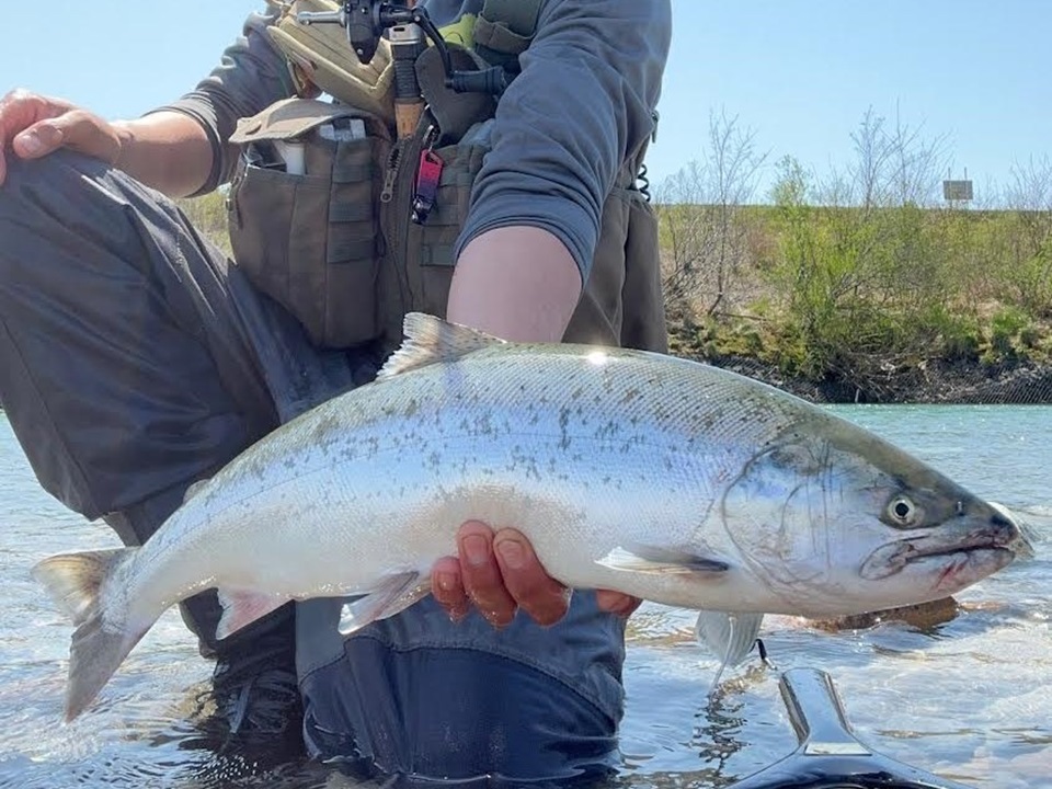 TULALA | Ford every stream | » 【STAFF】サクラマスにもドンピシャな