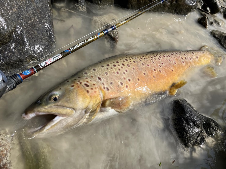 TULALA | Ford every stream | » 【STAFF】ツララロッドと行く秋の