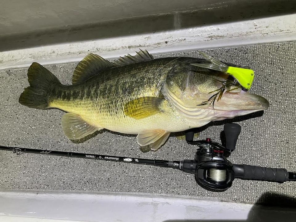 TULALA | Ford every stream | » 【STAFF】琵琶湖プロガイドが教える