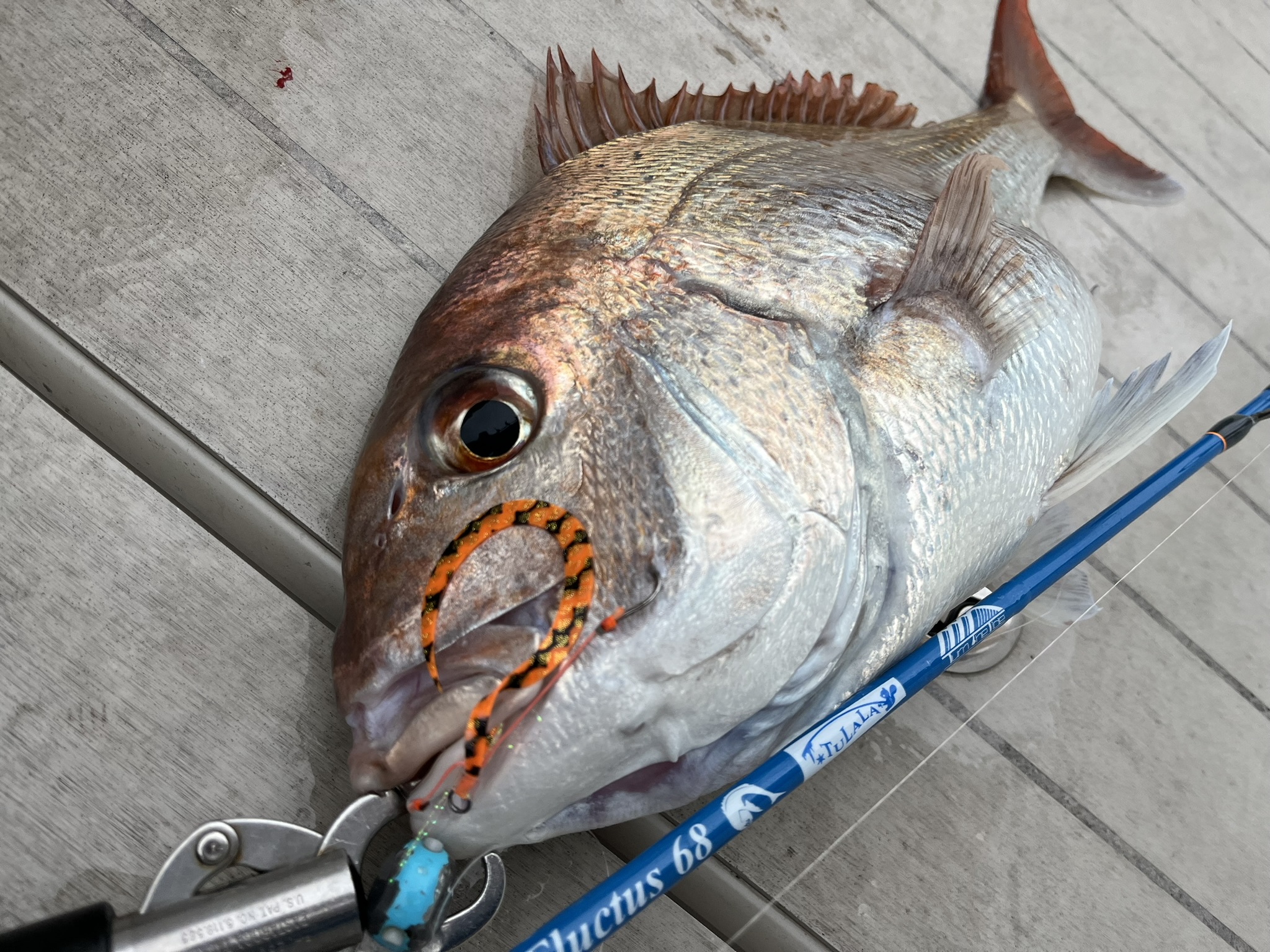 TULALA | Ford every stream | » Fluctus S68ML StrawSetting