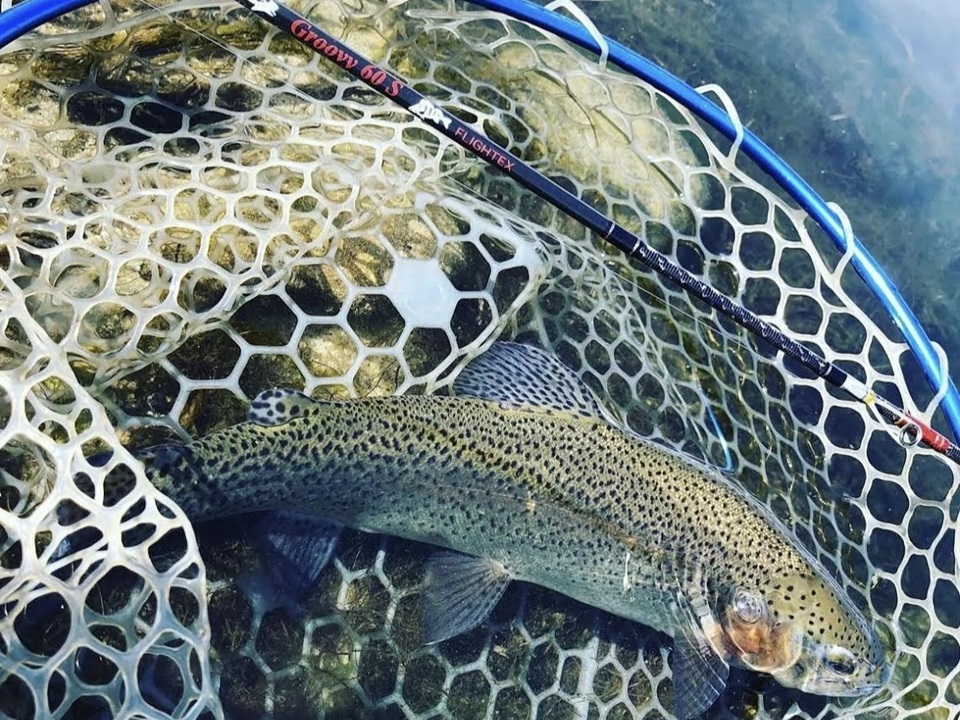 TULALA | Ford every stream | » 【STAFF】遊べる3ピーススピニング