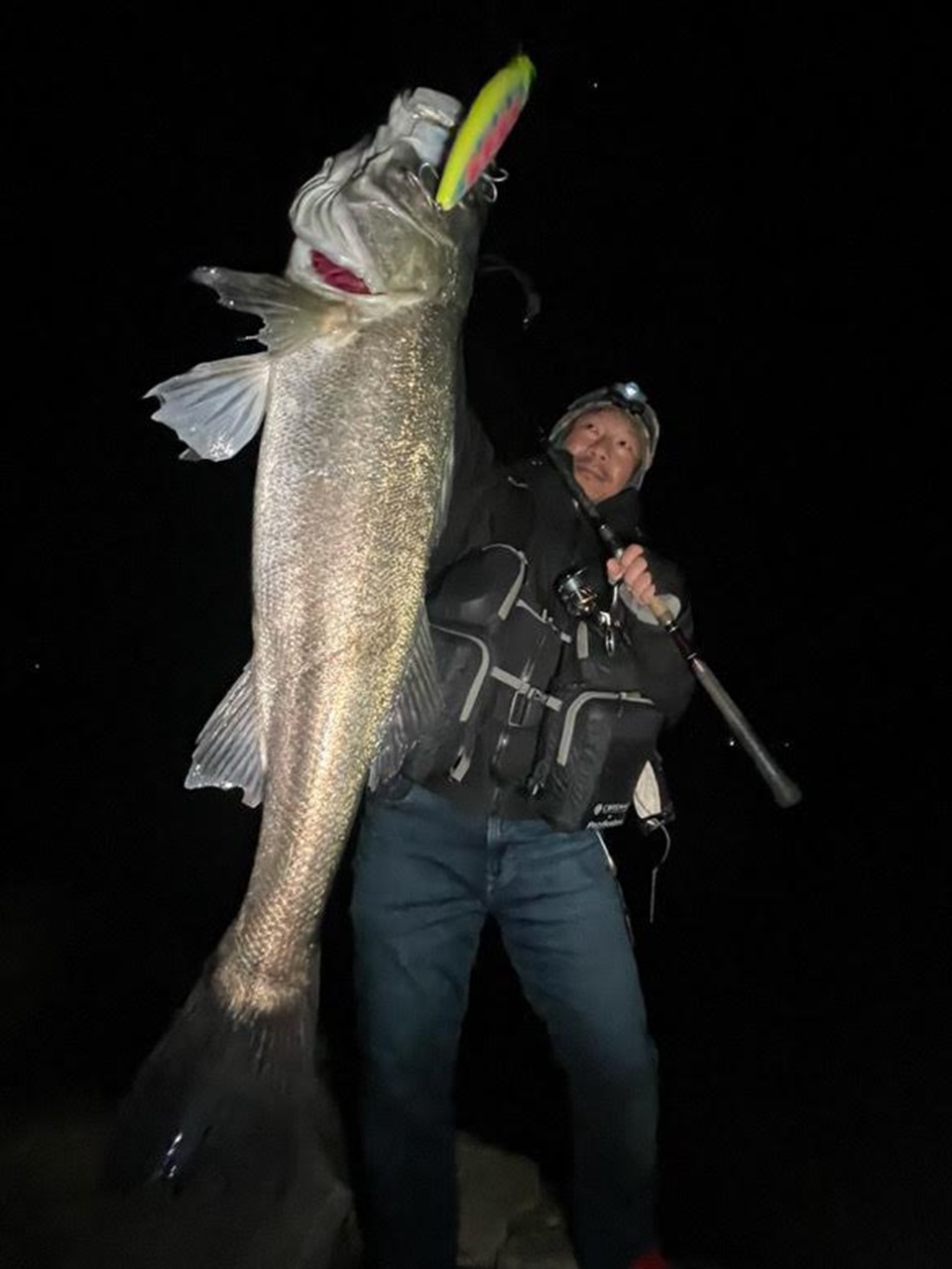 TULALA | Ford every stream | » 【公式】Ridgeline×TULALA