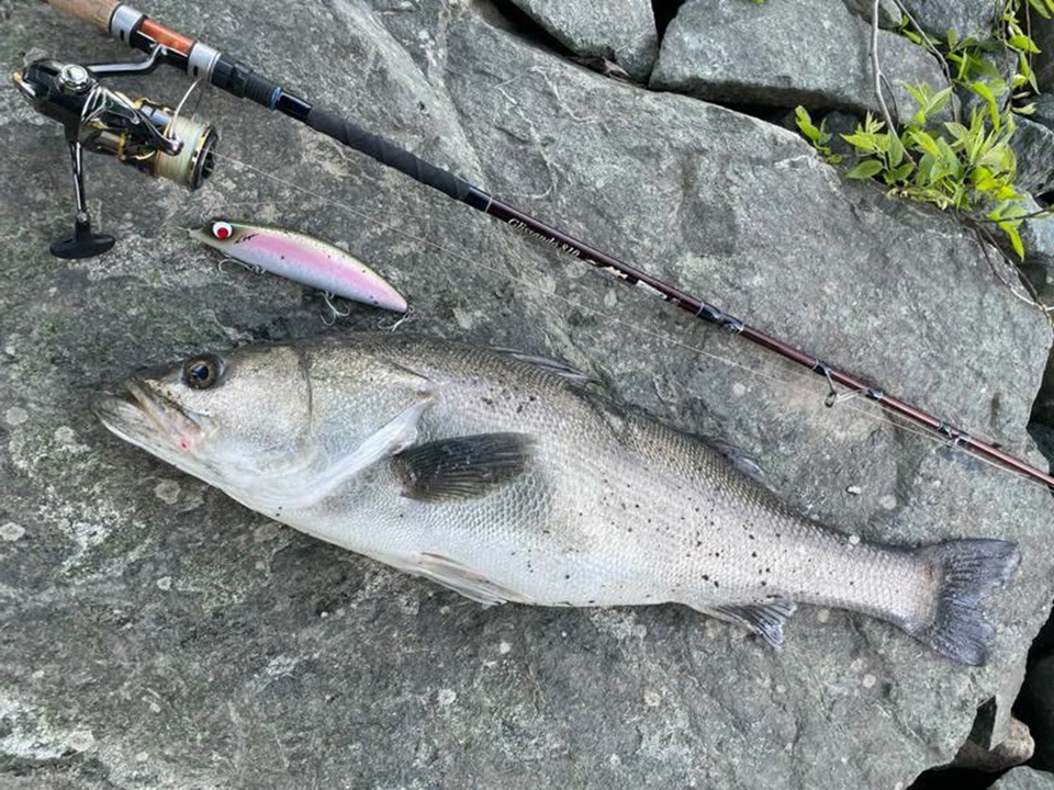 TULALA | Ford every stream | » 【公式】Ridgeline×TULALA