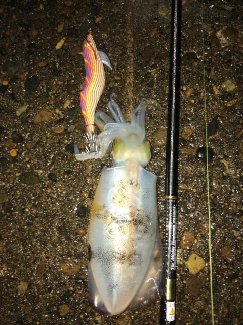 エバーグリーン SPRS-83H-T マイティハンツマン【インプレ