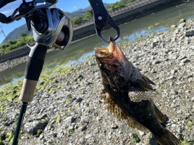 サビア67UL】チニングやライトロックに使ったインプレを紹介！！