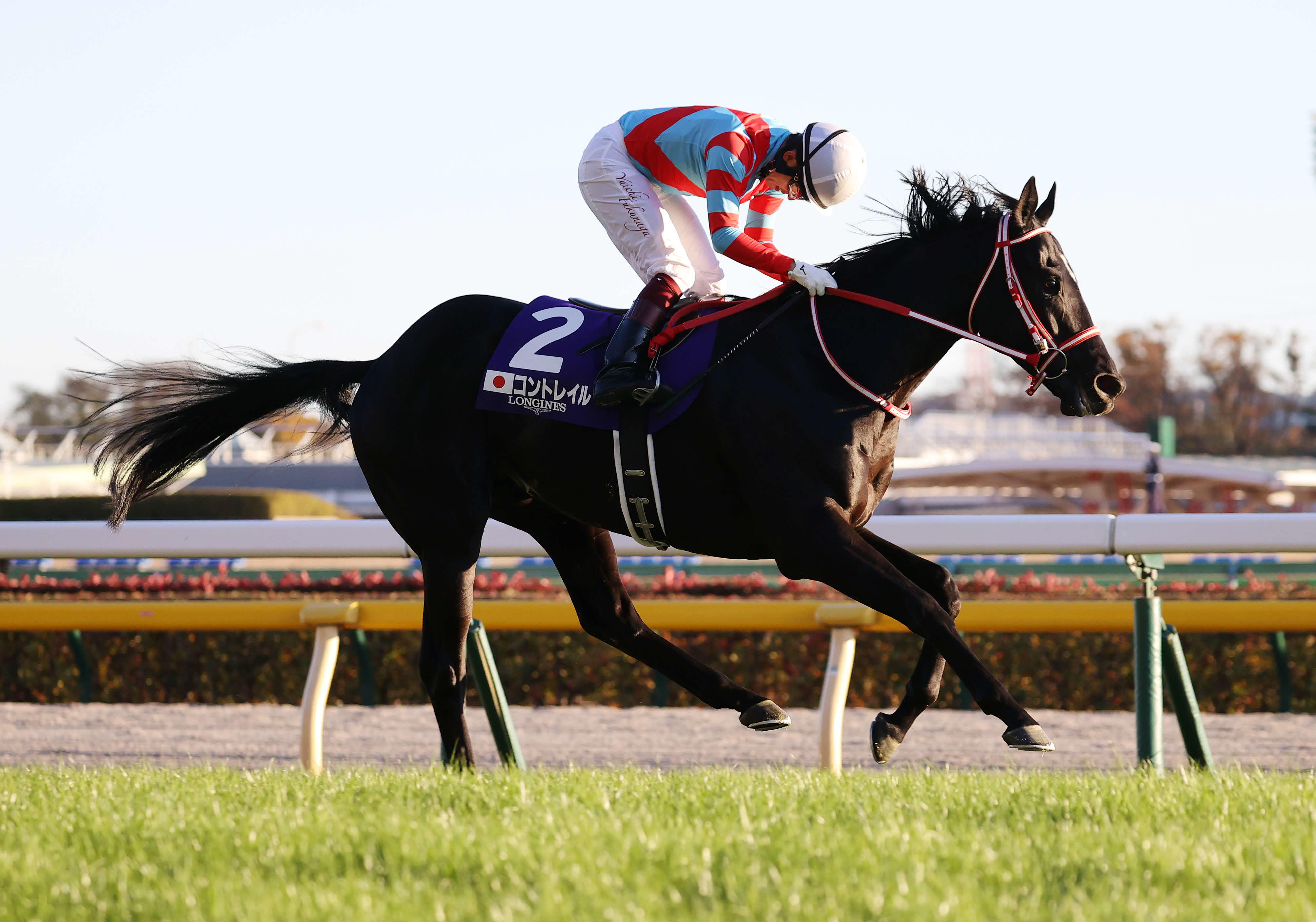 コントレイル｜その他｜テレ東スポーツ：テレ東