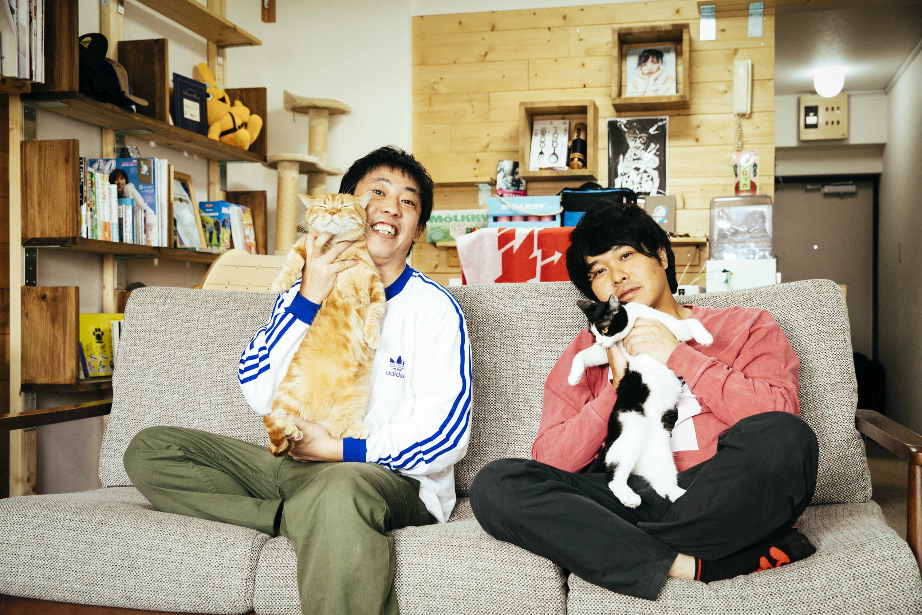 さらば青春の光×猫の会長と専務【ネコブロスWEB版】 - 【TV Bros. WEB】