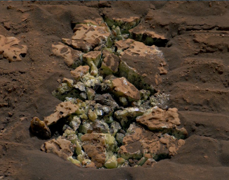 化石模様の岩石 5eb146ffc6dbd24b3534204b2f478d