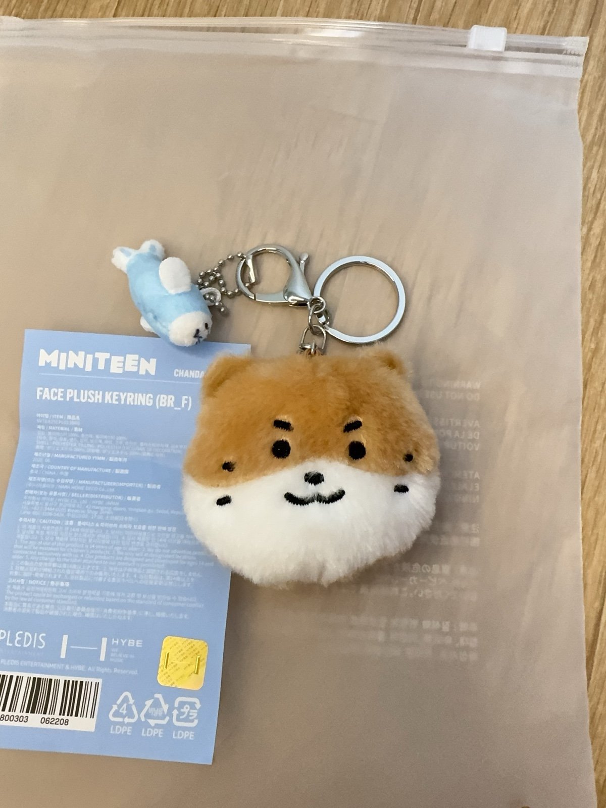 SEVENTEEN DINO MINITEEN OFFCIAL HOUSE PARTY | Mercari