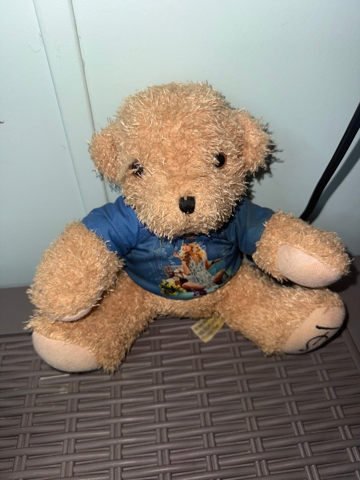 Original Taylor Swift Fearless bear | Mercari