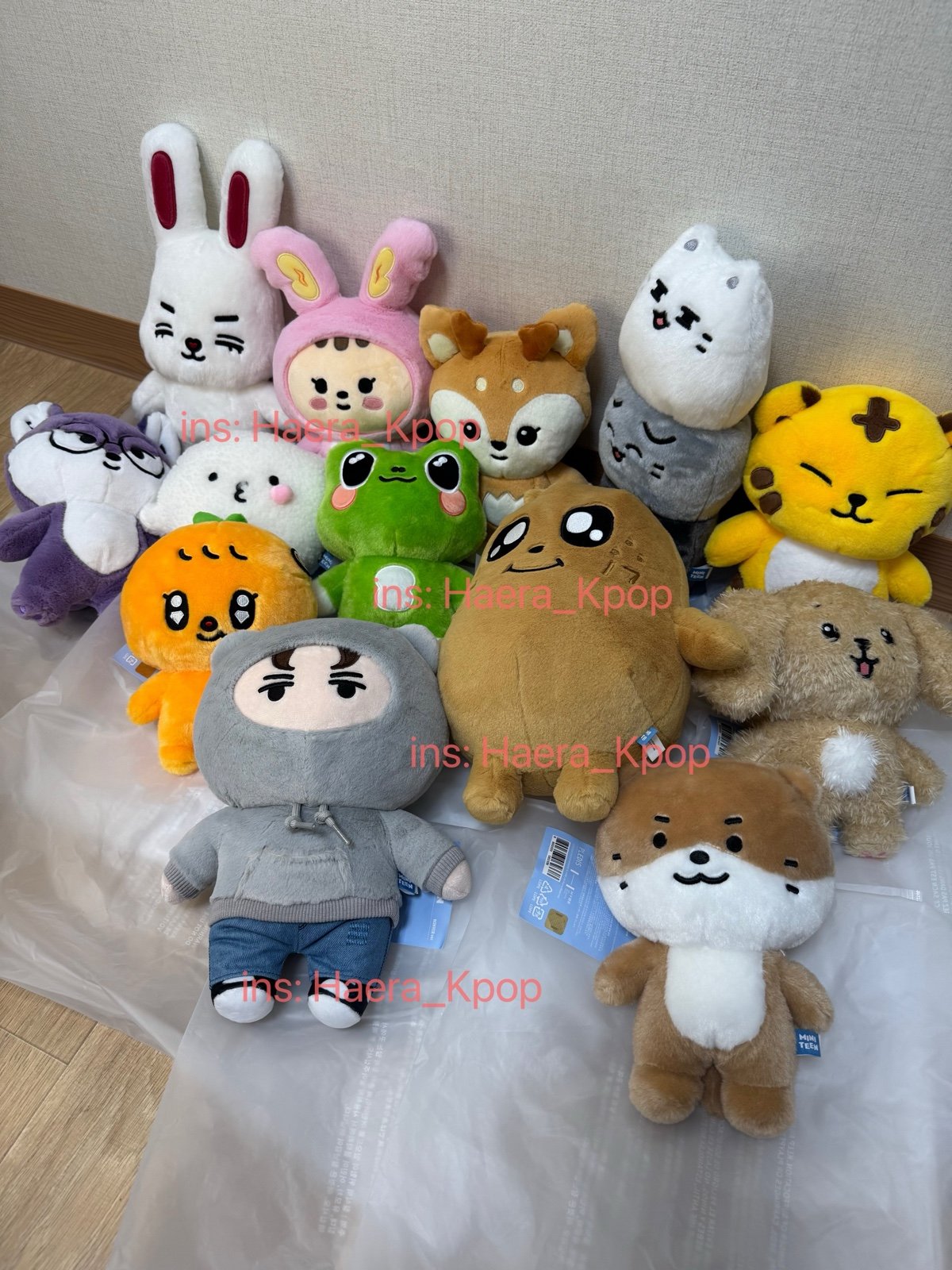 SEVENTEEN DK DOA MINITEEN OFFCIAL HOUSE PARTY | Mercari