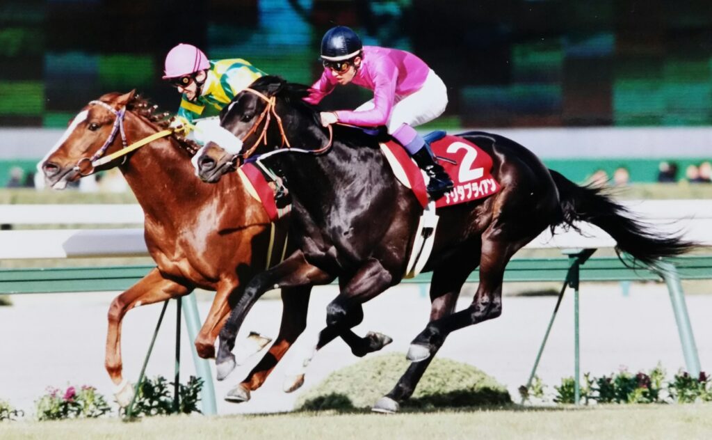 マヤノトップガン〜日本競馬史に残る名勝負を二度も演じたステイヤー