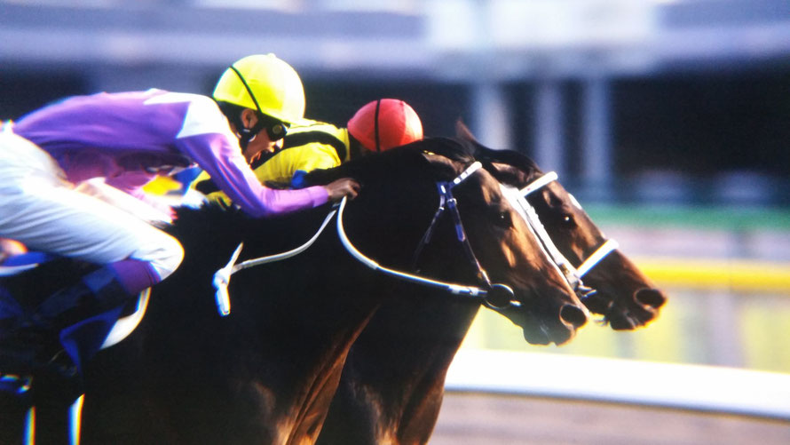 平成名勝負］名優と名馬、復活の競演～1999年天皇賞（秋