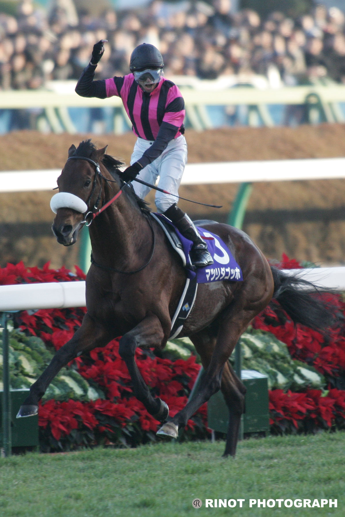 有馬記念］思い出の2007年有馬記念。異能の馬マツリダゴッホが見せた