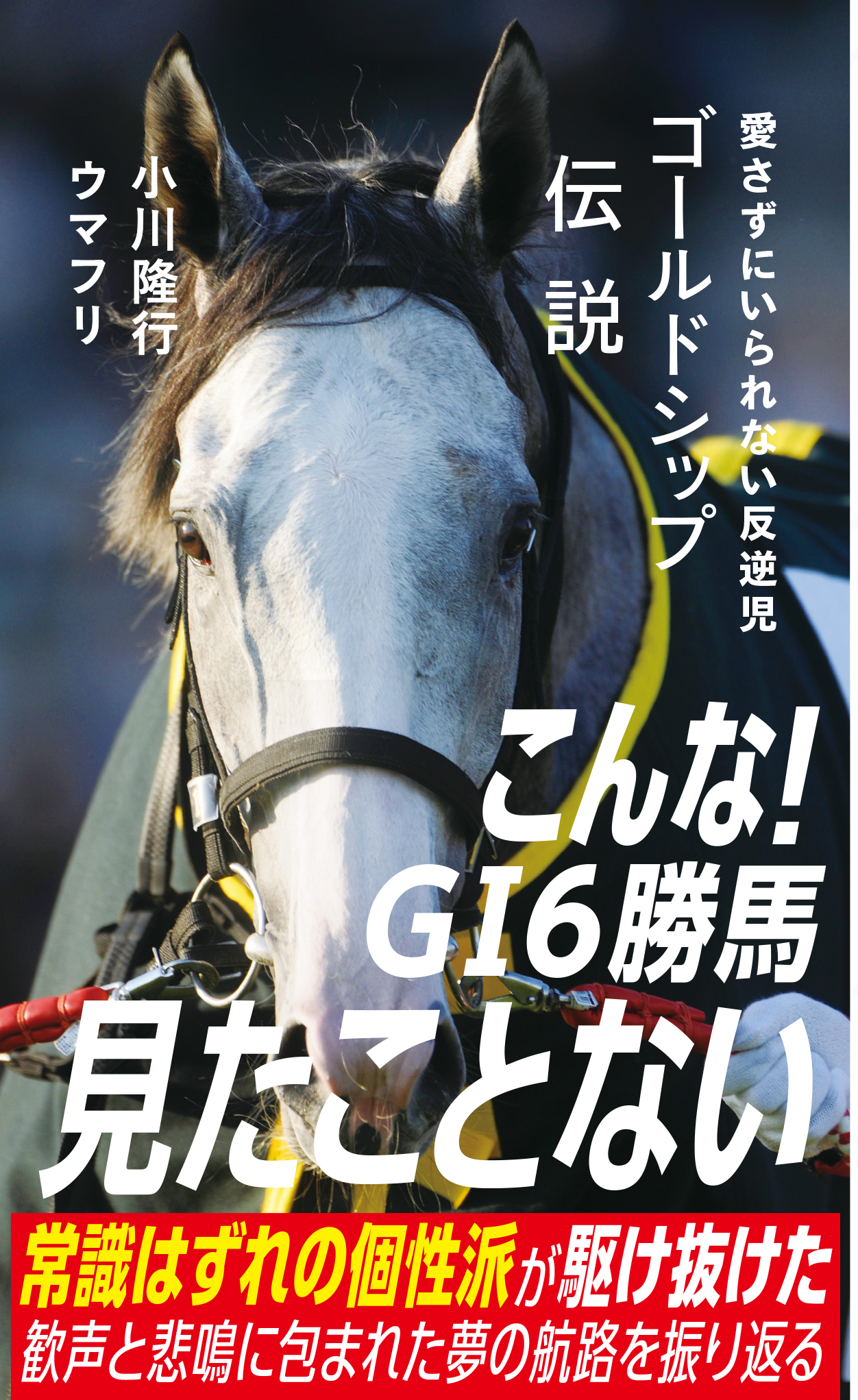 発売4日目でAmazonの在庫切れとなった大好評の新書『ゴールドシップ