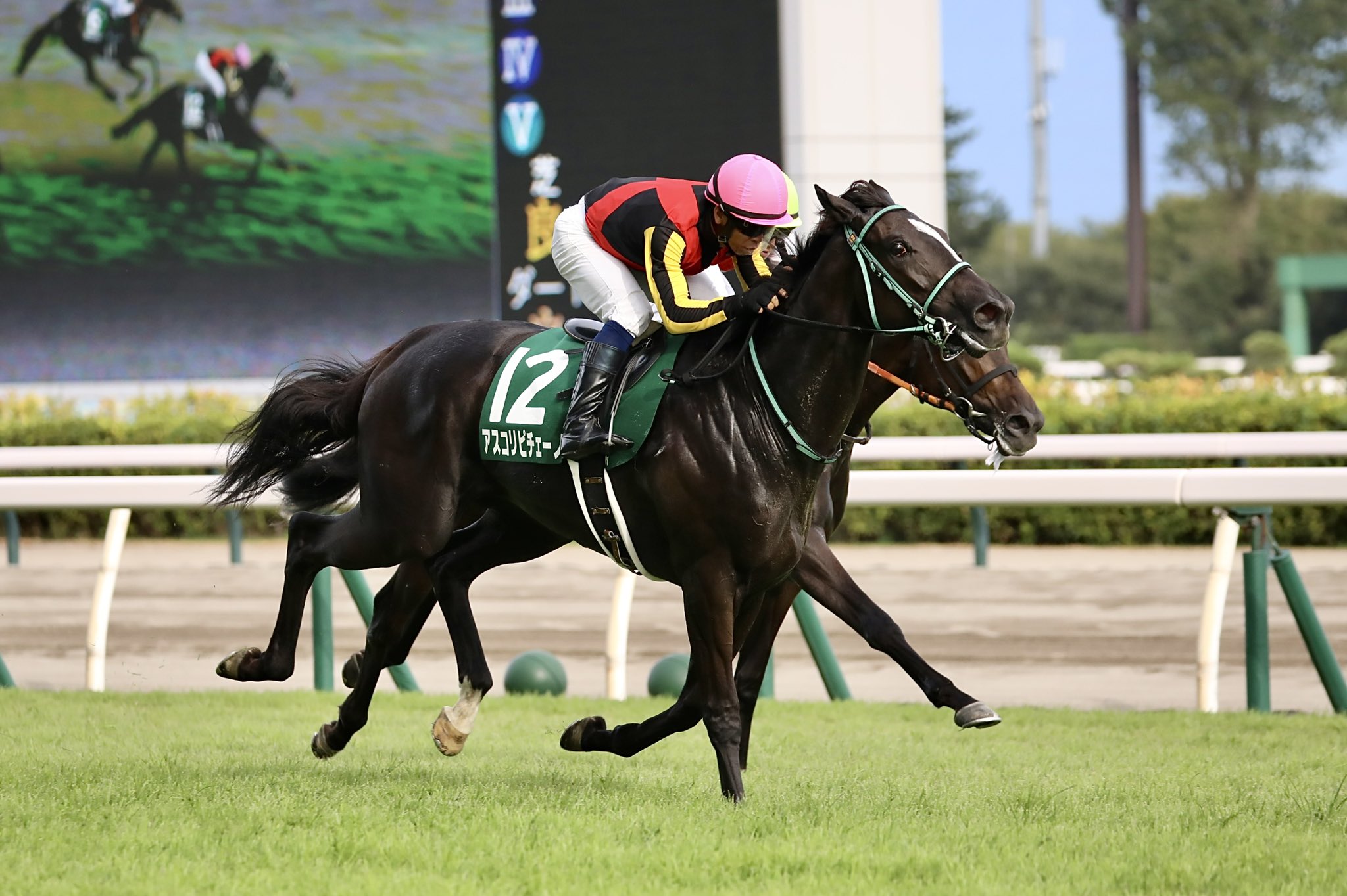 重賞回顧］末脚一閃！ニュータイプのダイワメジャー産駒アスコリ