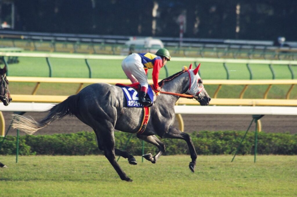 1990年、秋。孤軍奮闘のオグリキャップを横で見届けた、盟友