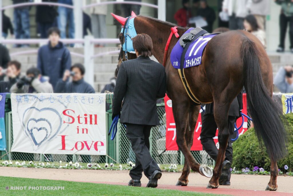 二番人気に花束を。三冠牝馬スティルインラブが戦い抜いた3歳シーズン