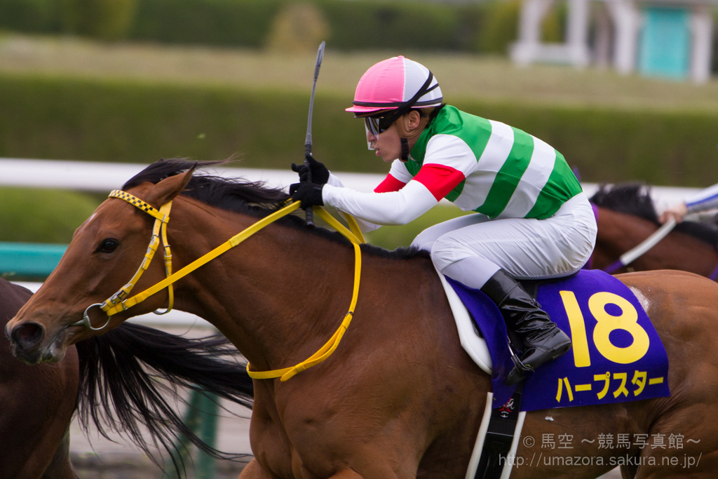 競馬写真】2014年 第74回桜花賞(GI) ハープスター
