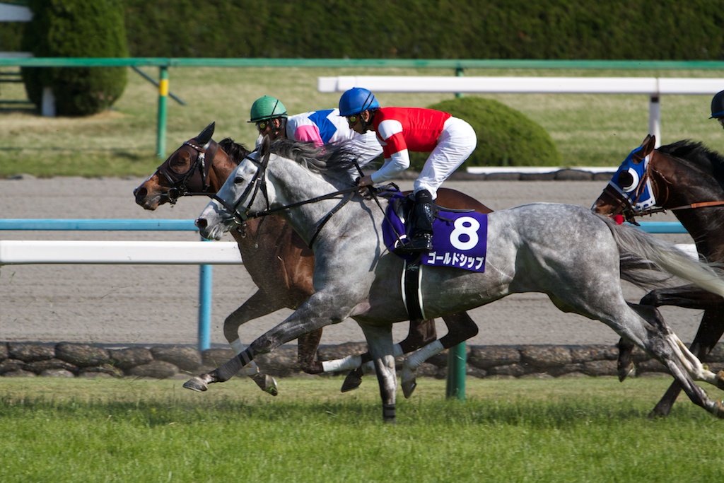 競馬写真】2013年 第147回天皇賞・春(GI) フェノーメノ