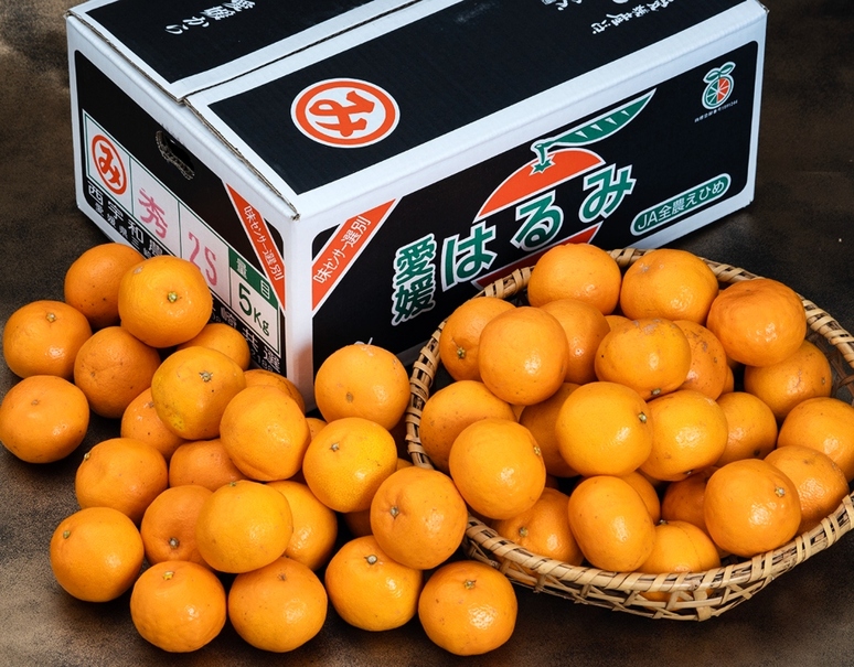 小玉「三崎の完熟はるみ」愛媛県産 柑橘 秀 2S 約5kg 産地箱 ※常温