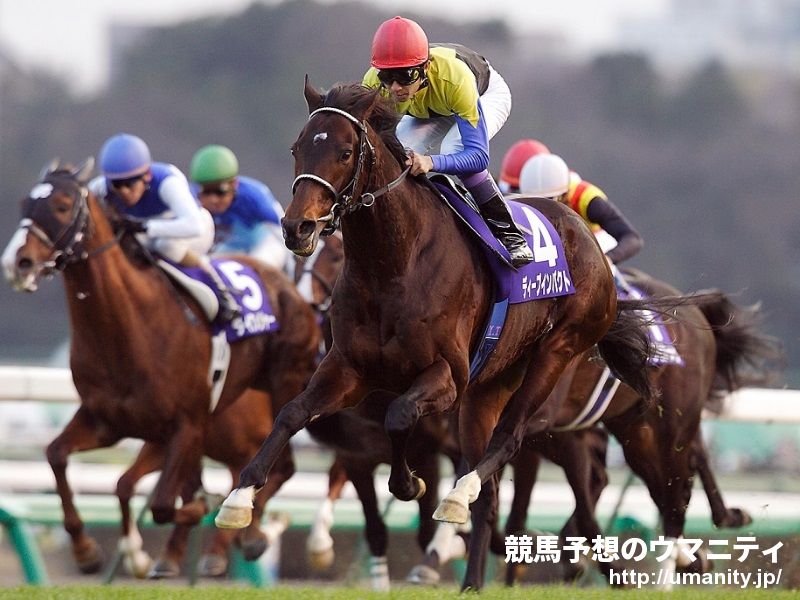 弥生賞ディープインパクト記念】厩舎の話｜競馬ニュース｜競馬予想の